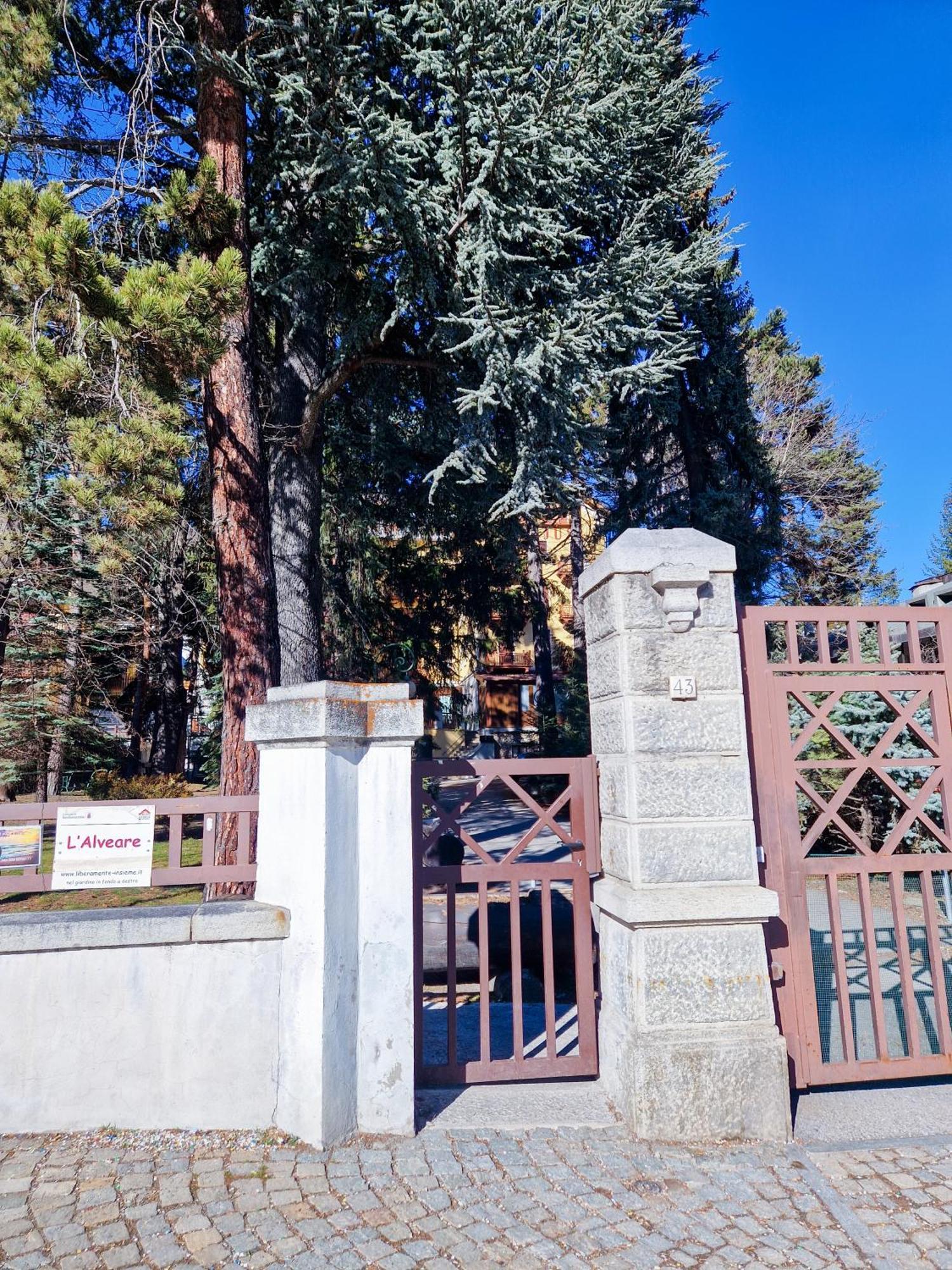 Bardonecchia Studio Apartment - Frejus Palace Екстериор снимка